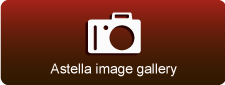 Astella image gallery